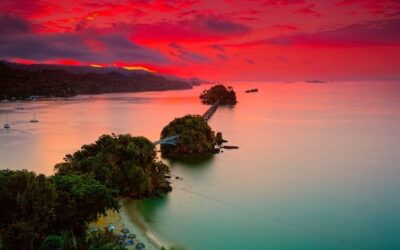 Samaná Full-Day Tour